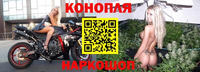 Альфа ПВП Бийск