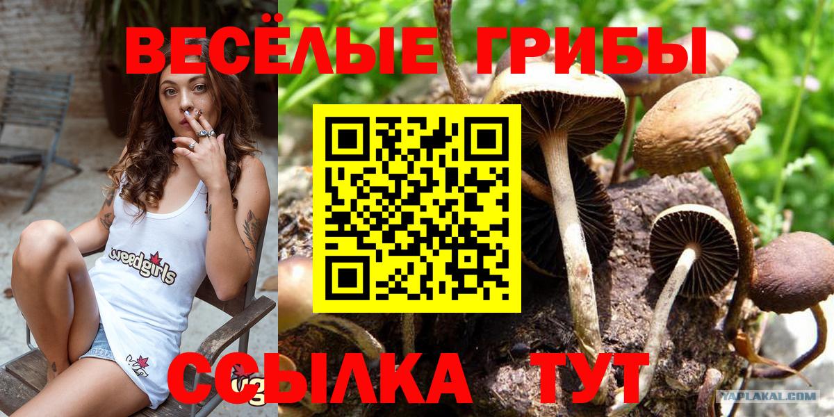 Галлюциногенные грибы мухоморы Кизилюрт