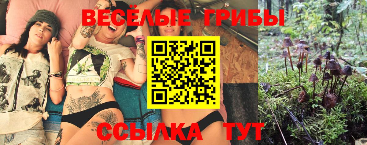 Псилоцибиновые грибы Cubensis  Вход с VPN  Псилоцибиновые грибы GOLDEN TEACHER  Кизилюрт 